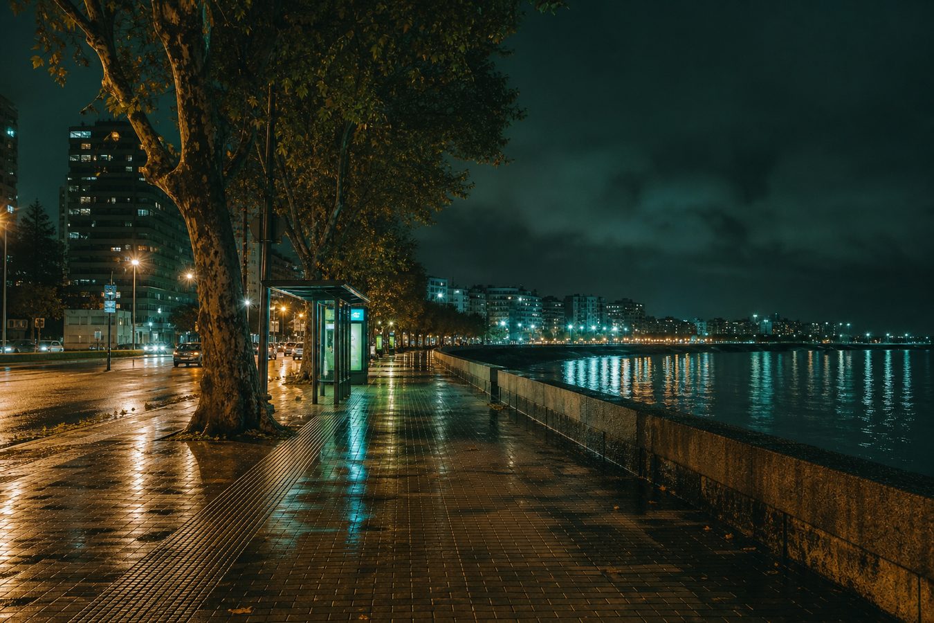 Avenida costera bonaerense de noche, con reflejos húmedos y luces urbanas, sin publicidad de apuestas